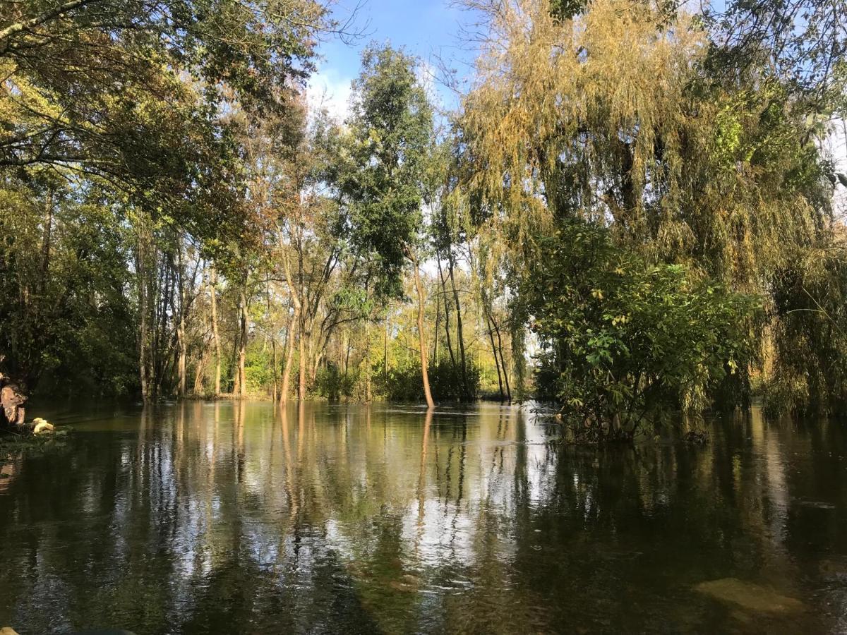 Mosnac  Ancien Moulin A Eau Sur La Seugne 아파트 외부 사진
