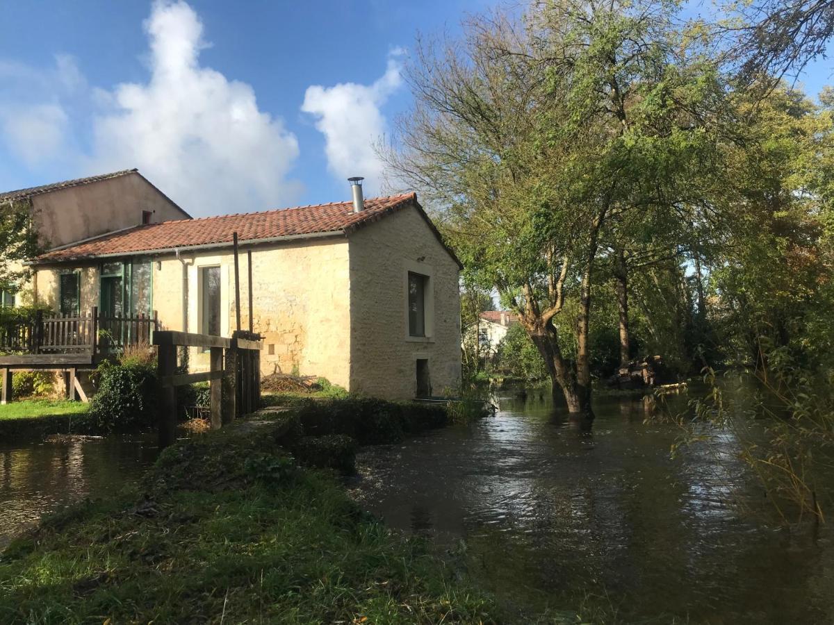 Mosnac  Ancien Moulin A Eau Sur La Seugne 아파트 외부 사진