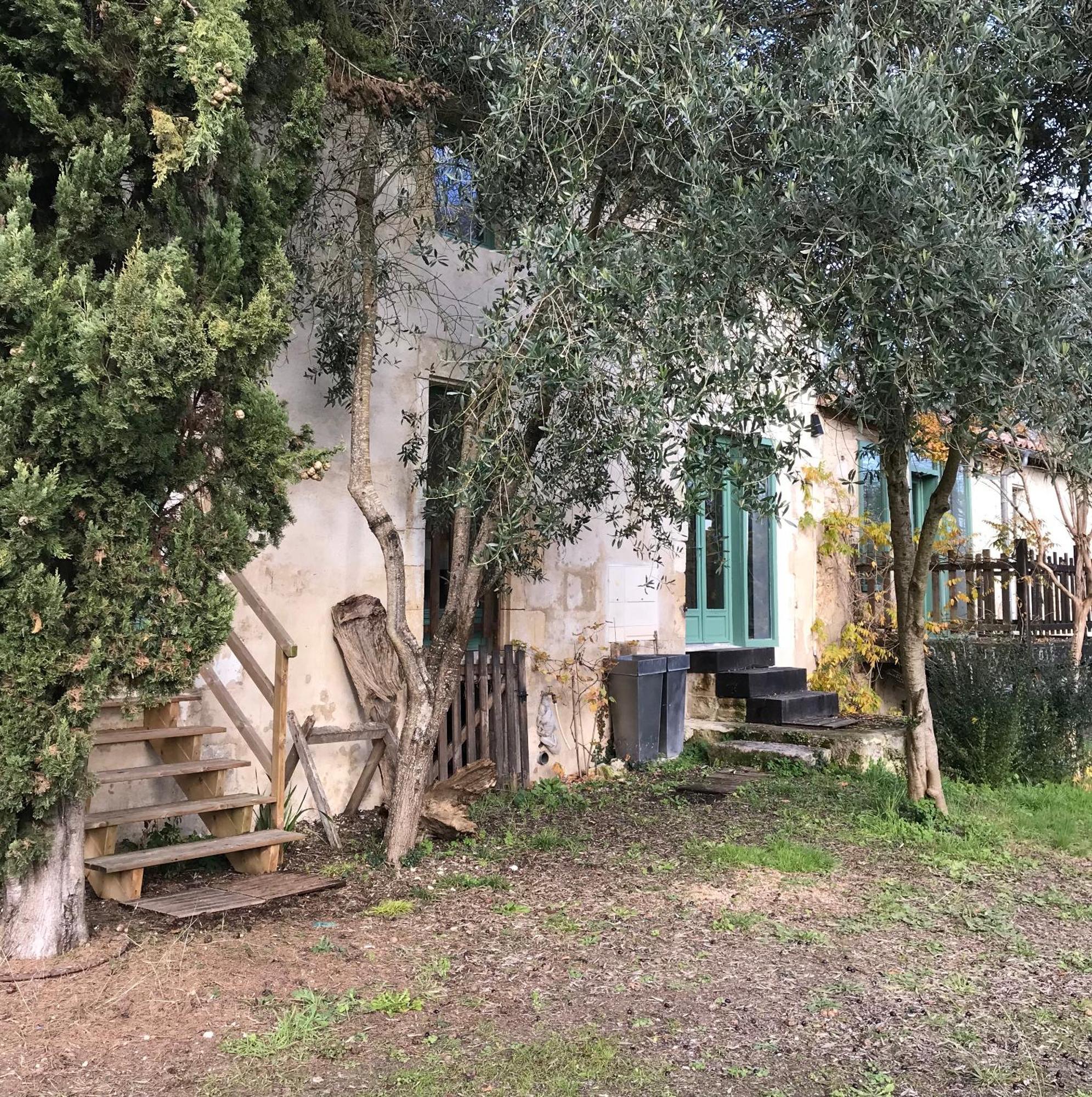 Mosnac  Ancien Moulin A Eau Sur La Seugne 아파트 외부 사진
